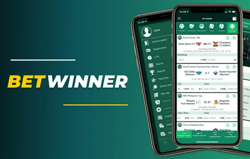 Navigating the Betwinner App